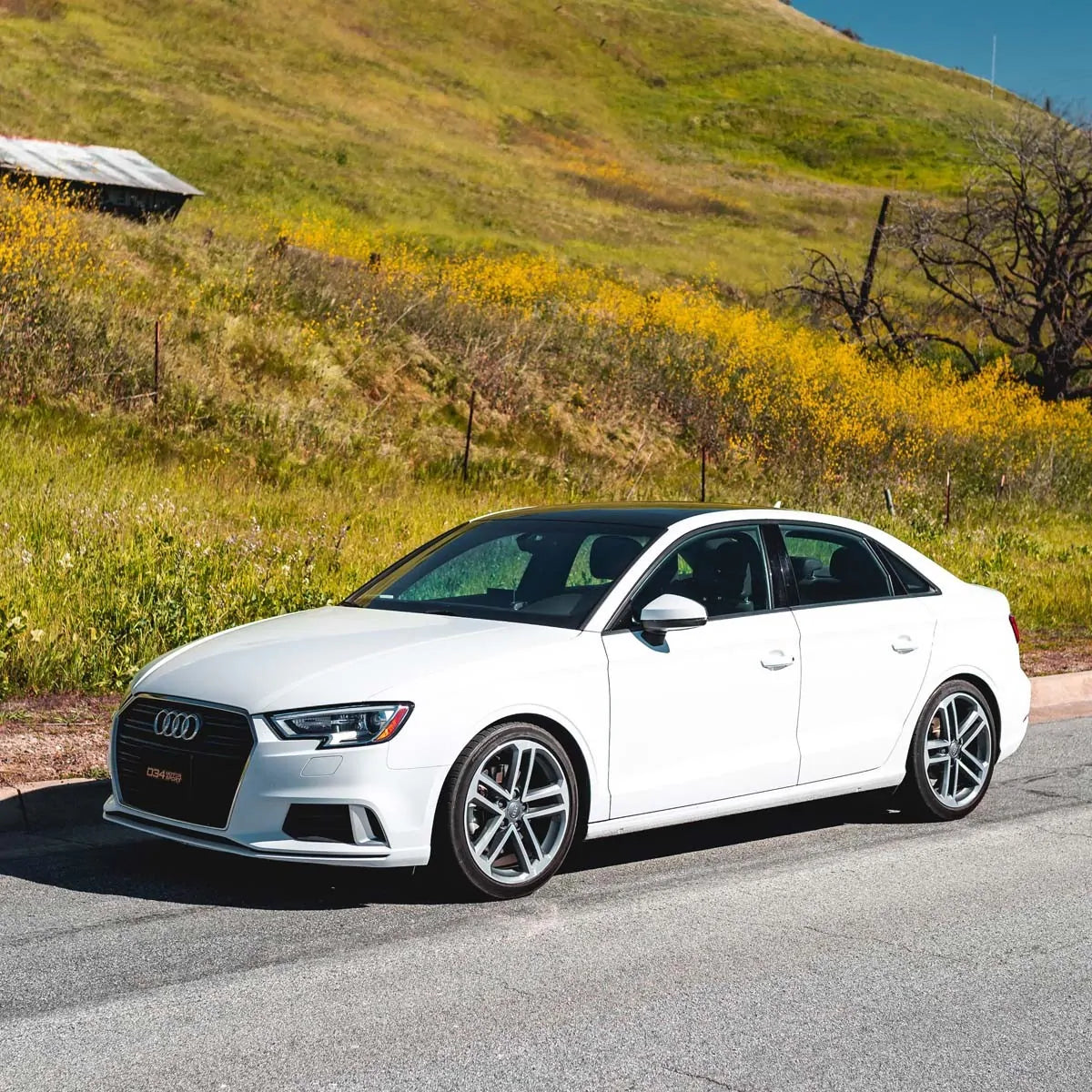 034 Muelles Dynamic+ Motorsport Audi A3 S3 8V 05