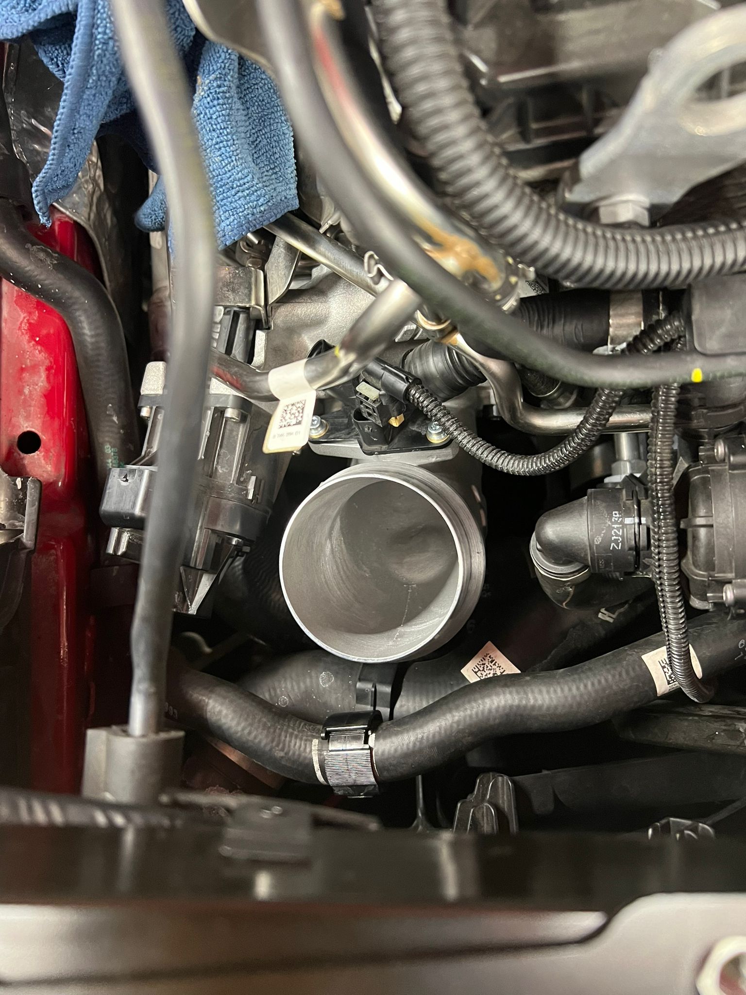 FOTO 2025 02 13 09 47 12