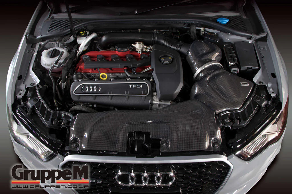 Admisión de aire de carbono del grupo M Audi RS3 8V 8.5V 2.5 TFSI 1